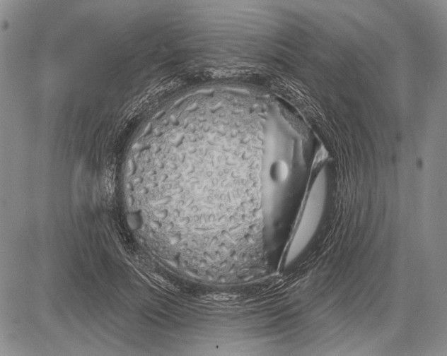 X0000081600691200702051330