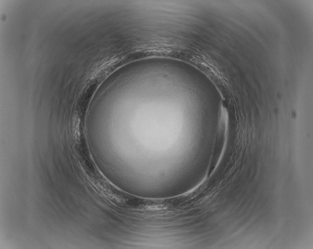 X0000081600692200702051330