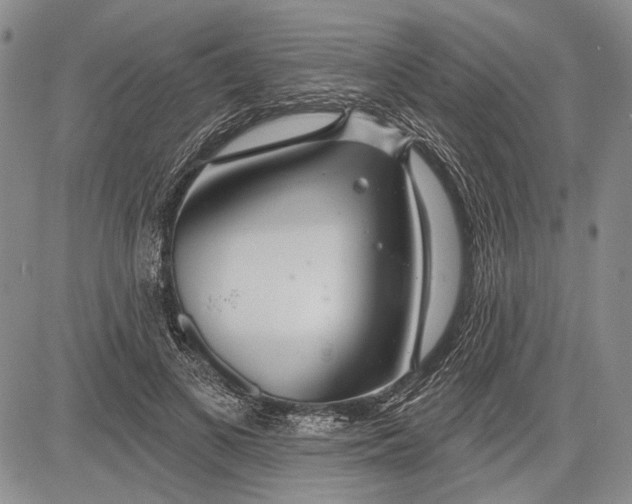 X0000081600693200702051329