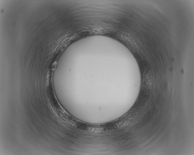 X0000081600694200702051329