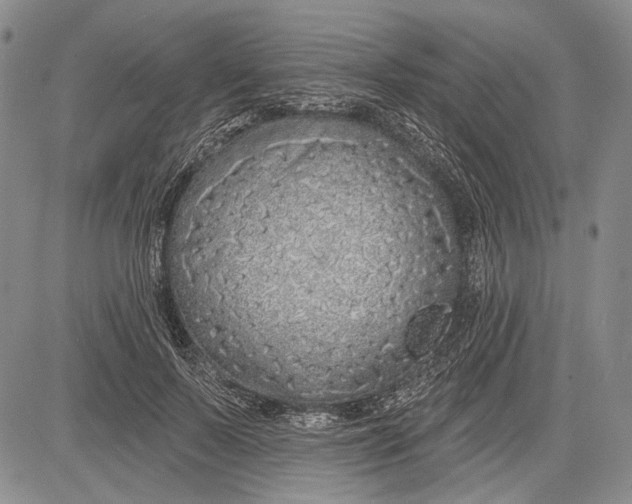 X0000081600695200702051329