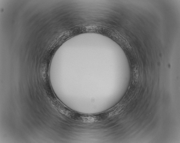 X0000081600698200702051329