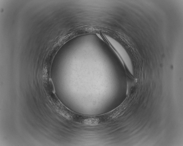 X0000081600700200702051329