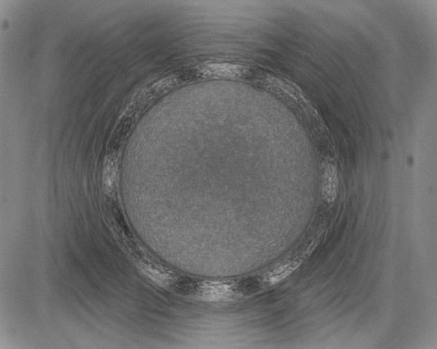 X0000081600701200702051329