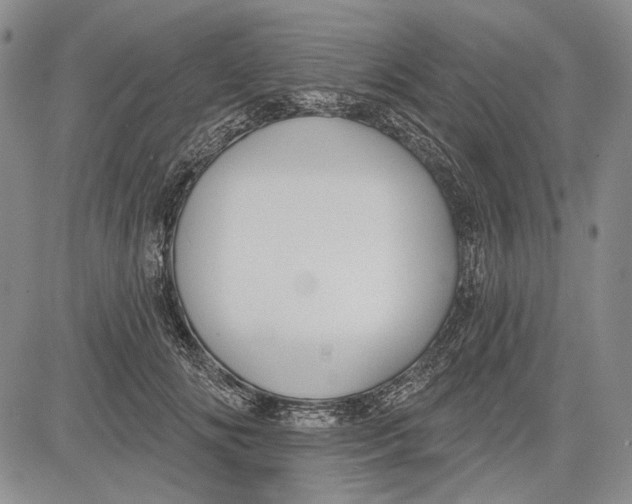 X0000081600702200702051329