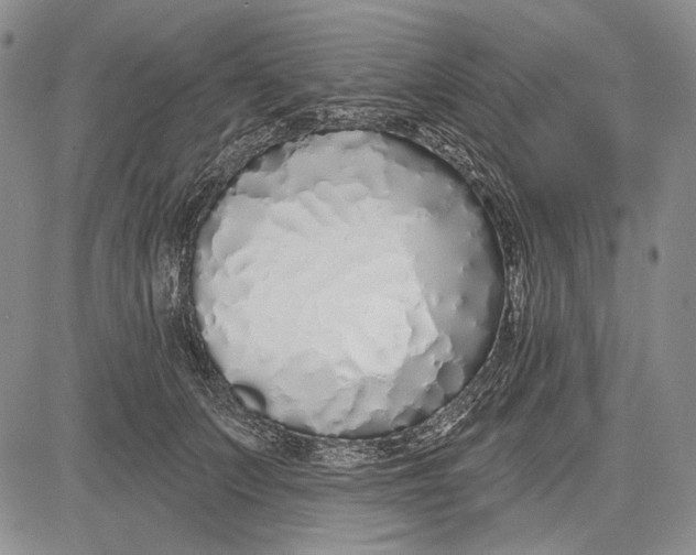 X0000081600703200702051329