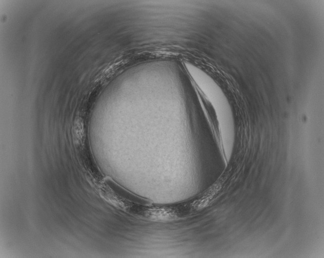 X0000081600704200702051329