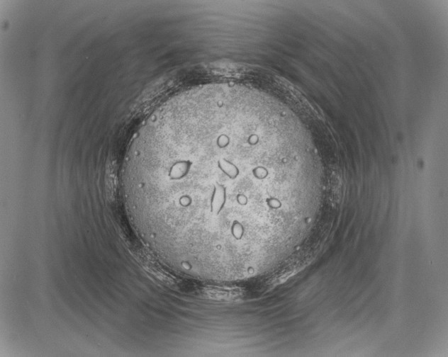 X0000081600707200702051329