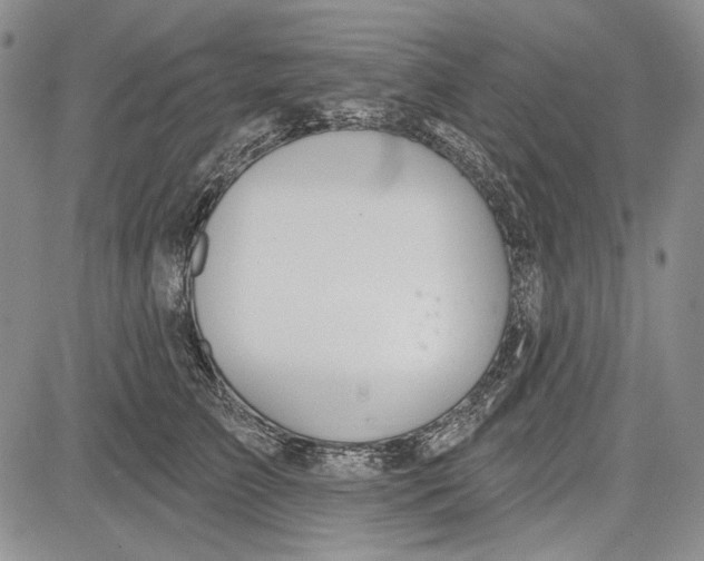 X0000081600709200702051329