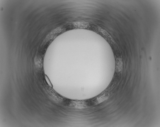 X0000081600713200702051329