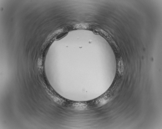 X0000081600714200702051329