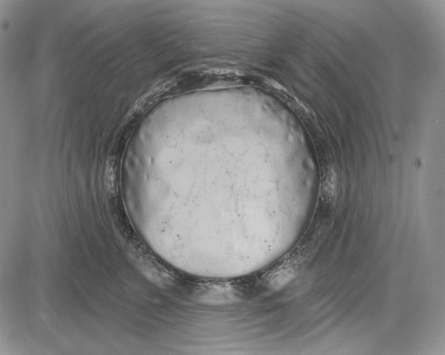 X0000081600715200702051329