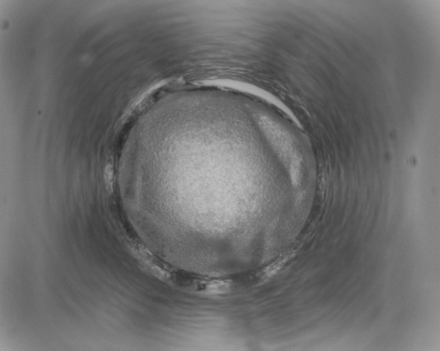 X0000081600716200702051329