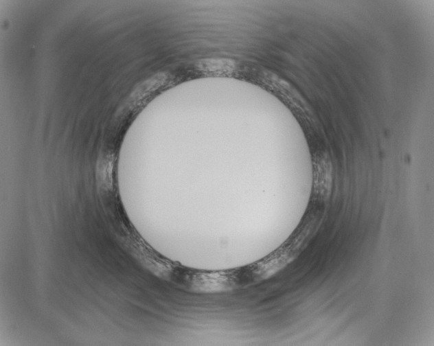 X0000081600717200702051329