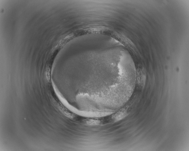 X0000081600718200702051329