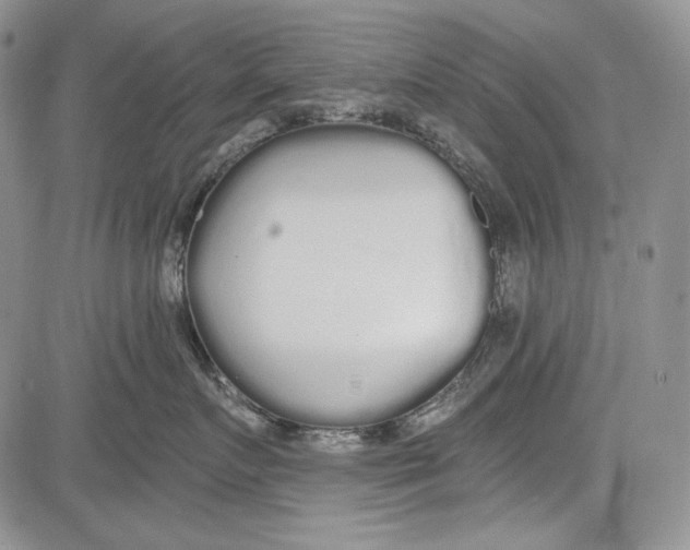 X0000081600719200702051329