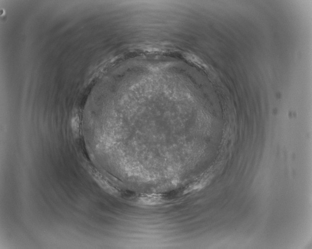 X0000081600720200702051329