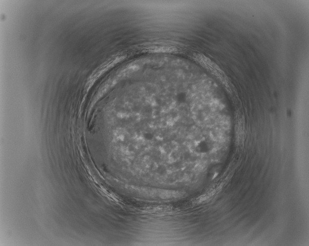 X0000081600721200702051328