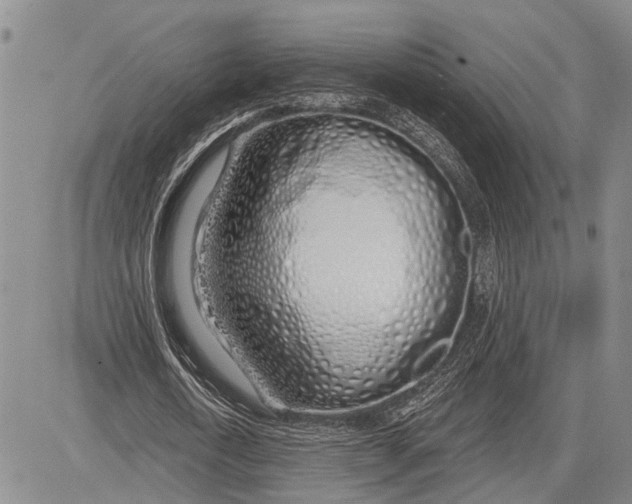 X0000081600722200702051328