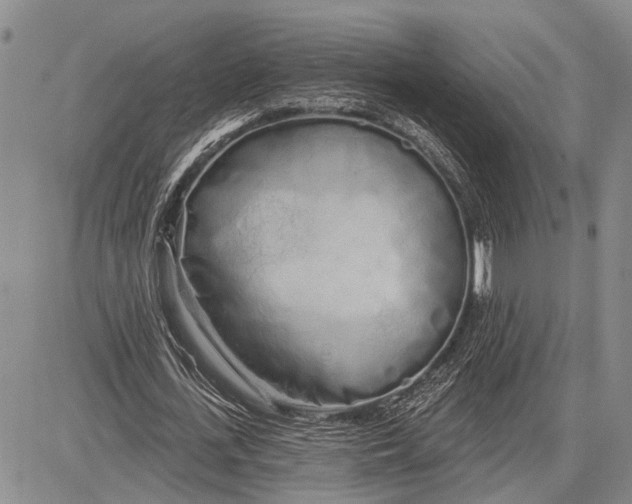 X0000081600723200702051328