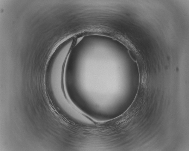 X0000081600724200702051328