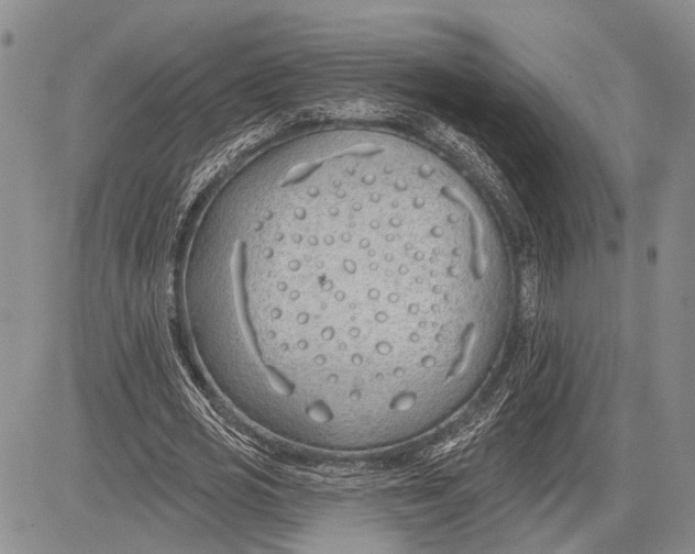 X0000081600725200702051328