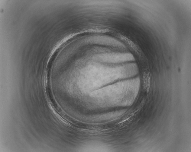 X0000081600726200702051328