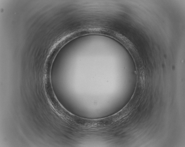 X0000081600728200702051328