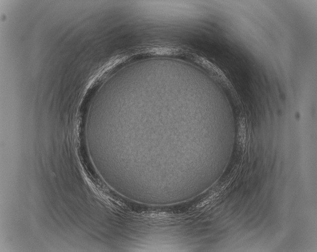 X0000081600730200702051328