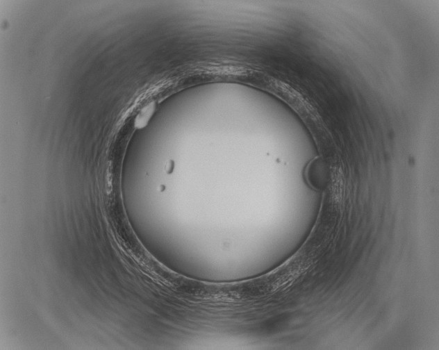 X0000081600731200702051328