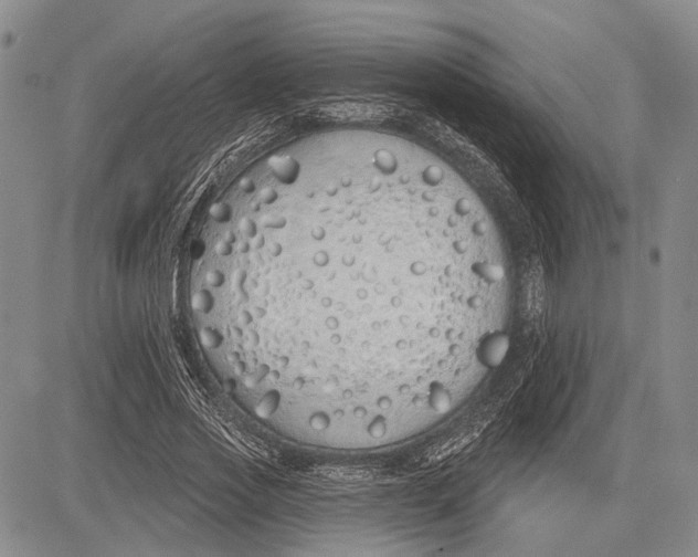 X0000081600733200702051328