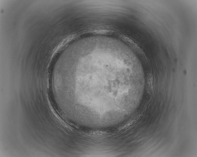 X0000081600734200702051328