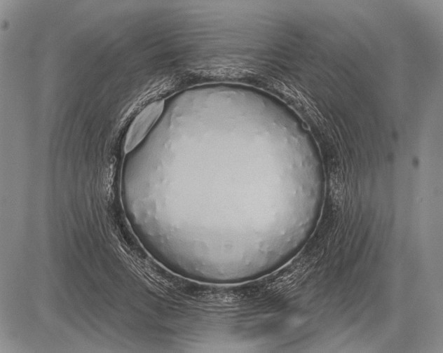 X0000081600735200702051328