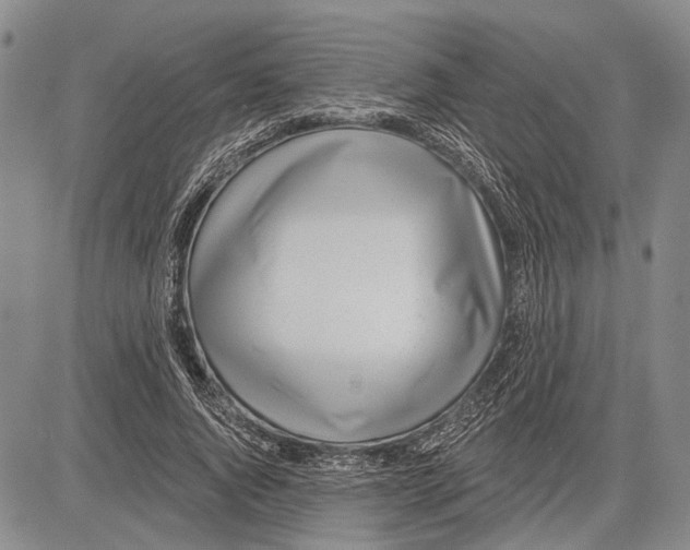 X0000081600736200702051329