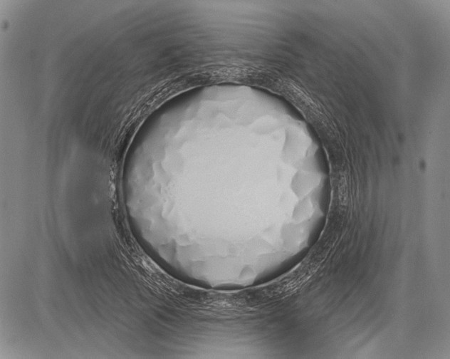 X0000081600737200702051329