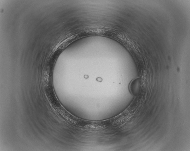 X0000081600739200702051329