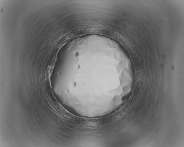 X0000081600741200702051329