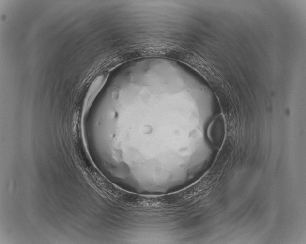 X0000081600742200702051329