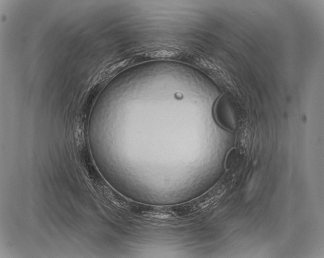 X0000081600743200702051329