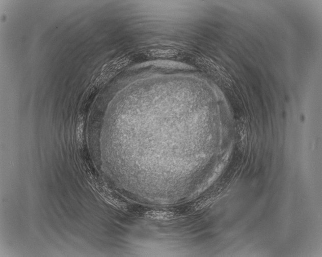 X0000081600745200702051329