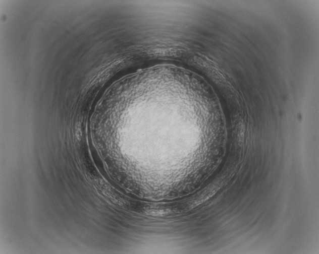 X0000081600746200702051329