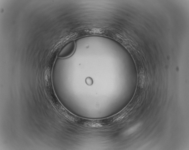 X0000081600747200702051329