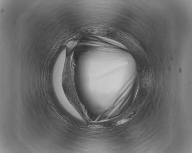 X0000081600748200702051329