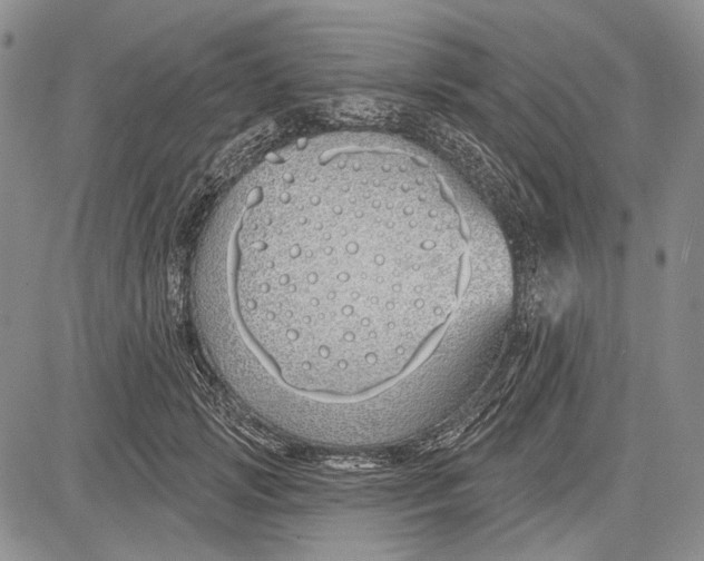 X0000081600749200702051329