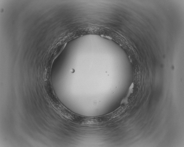 X0000081600750200702051329