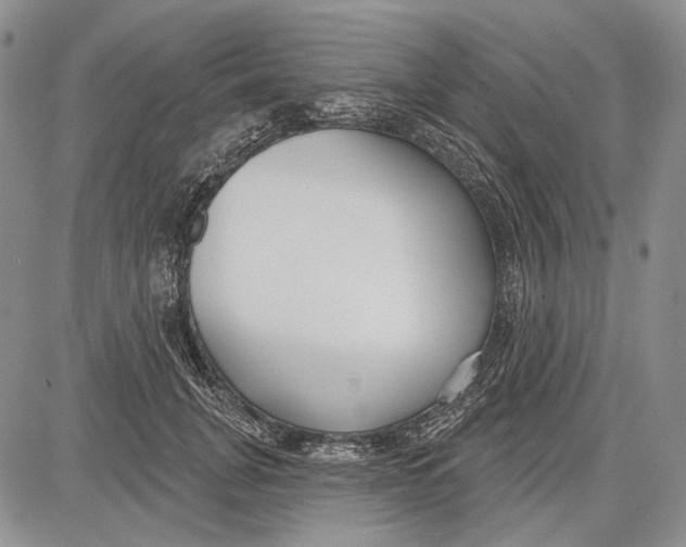 X0000081600751200702051329