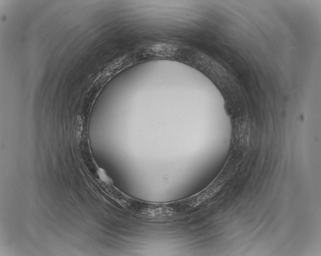 X0000081600752200702051329