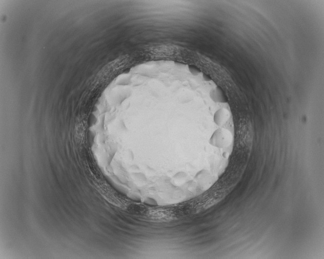 X0000081600753200702051329