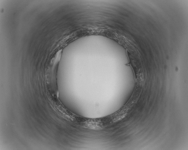 X0000081600756200702051329