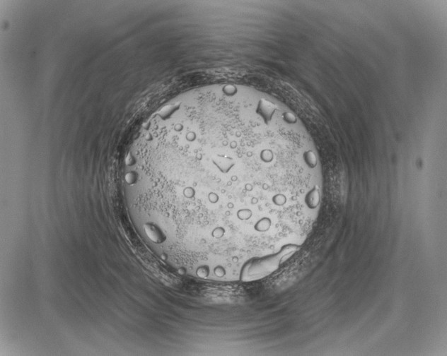 X0000081600757200702051329